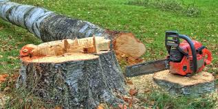 Best Utility Line Clearance  in Smethport, PA