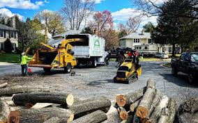 Best Tree Mulching  in Smethport, PA