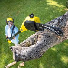 Best Tree and Shrub Care  in Smethport, PA