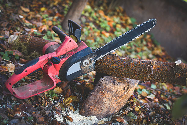 Best Hazardous Tree Removal  in Smethport, PA